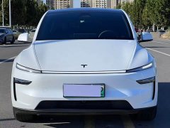 Tesla Model Y Long Range Rear-Wheel Drive - ფოტო 2