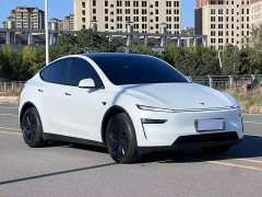 Tesla Model Y Long Range Rear-Wheel Drive - ფოტო 3