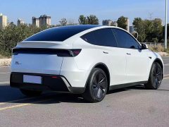 Tesla Model Y Long Range Rear-Wheel Drive - ფოტო 4