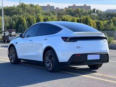 Tesla Model Y Long Range Rear-Wheel Drive - ფოტო 6