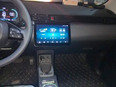 Leapmotor Leapo T03 310 Comfort Edition - photo 13