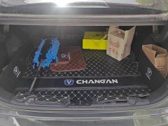 Changan Eado PLUS Blue Whale NE 1.4T GDI DCT Luxury - фото 4