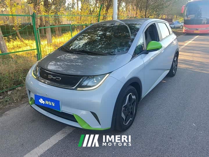 BYD Dolphin 405km Freedom Edition - ავტომობილი ჩინეთიდან
