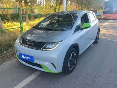 BYD Dolphin 405km Freedom Edition - ფოტო 1