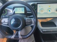 BYD Dolphin 405km Freedom Edition - ფოტო 13