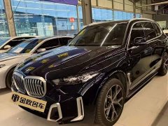 BMW X5 xDrive 30Li M Sport Premium Package - фото 1