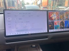 Li Auto i8 Standard Edition - фото 6
