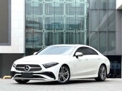 Mercedes-Benz CLS 300 Dynamic - ფოტო 1