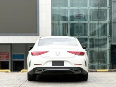 Mercedes-Benz CLS 300 Dynamic - ფოტო 10