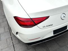 Mercedes-Benz CLS 300 Dynamic - ფოტო 11