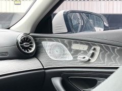 Mercedes-Benz CLS 300 Dynamic - ფოტო 8
