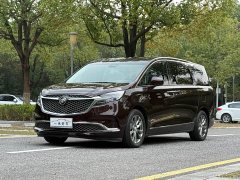 Buick GL8 Avenir Six-Seat Wisdom Courtesy Edition - photo 1