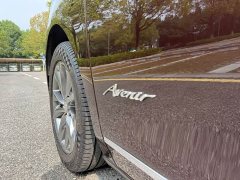 Buick GL8 Avenir Six-Seat Wisdom Courtesy Edition - photo 18