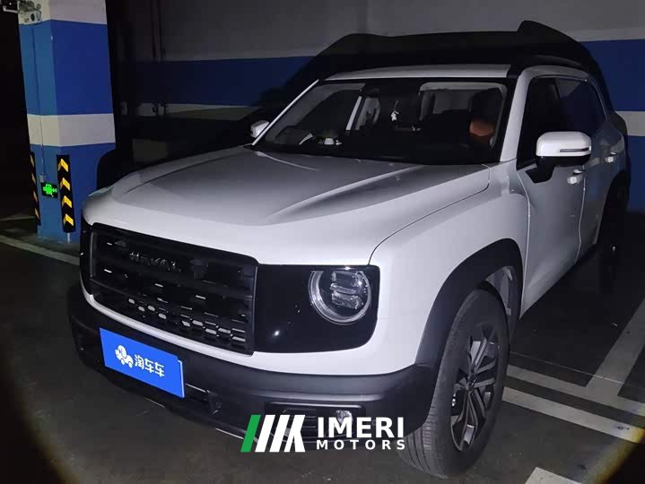Great Wall Dachshund 1.5T DCT Border Collie Edition - автомобиль из Китая