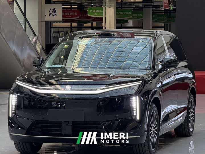 BYD Daton Pure Electric 950KM RWD Lidar Flagship - car from China