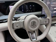 BYD Daton Pure Electric 950KM RWD Lidar Flagship - photo 11