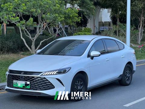 2025 BYD Qin PLUS DM-i Smart Drive Edition 55KM Leading