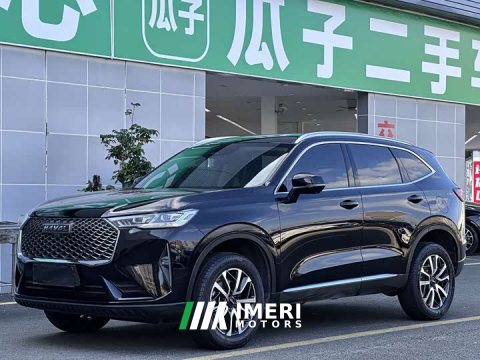 2022 Haval H6 Third Generation 1.5T Automatic Two-Wheel Drive Max - car from China