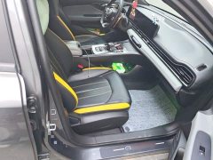 Trumpchi Leopard 270T DCT J16 R-style Track Edition - фото 19