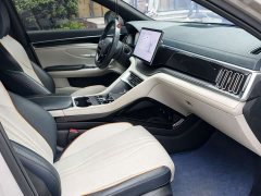 BYD Song Plus New Energy DM-i 110km Flagship Honors Edition - photo 14