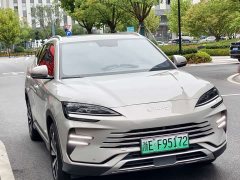 BYD Song Plus New Energy DM-i 110km Flagship Honors Edition - photo 4