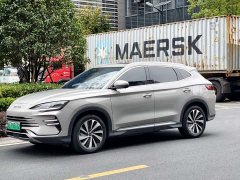 BYD Song Plus New Energy DM-i 110km Flagship Honors Edition - photo 5