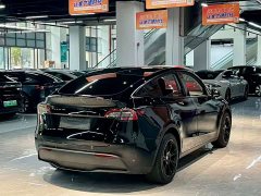 Tesla Model Y Rear-Wheel Drive - ფოტო 6