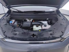 GAC AION i60 210 Standard - ფოტო 10