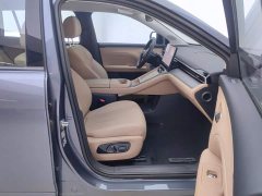 GAC AION i60 210 Standard - ფოტო 8