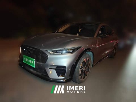 2022 Ford Mustang Mach-E Boundless RWD Luxury Long Range - car from China