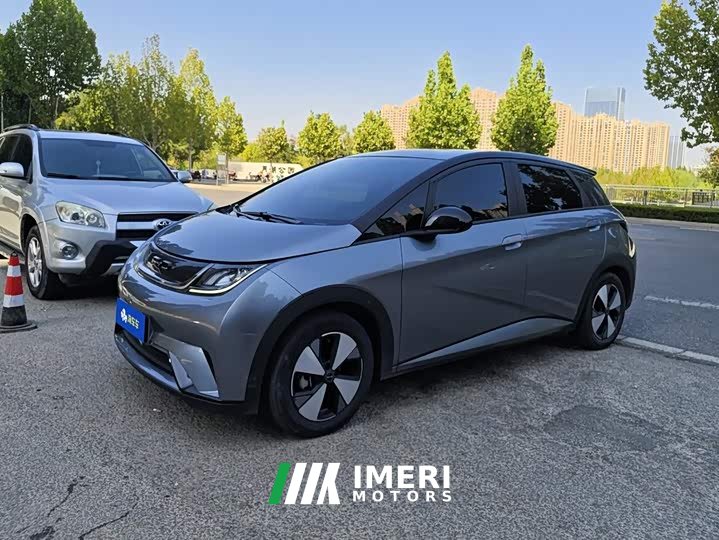 BYD Dolphin 420km Fashion Edition - ავტომობილი ჩინეთიდან