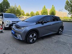 BYD Dolphin 420km Fashion Edition - ფოტო 1