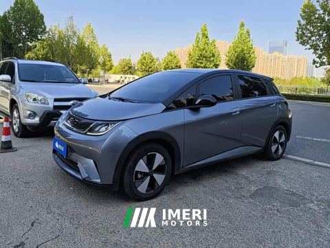 2023 BYD Dolphin 420km Fashion Edition