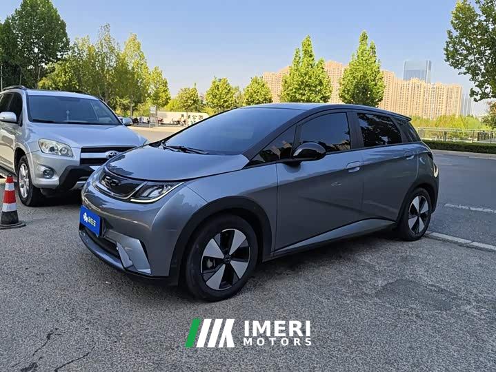 BYD Dolphin 420km Fashion Edition