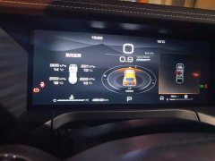 Tank 300 Off-Road Edition 2.0T Challenger - ფოტო 14