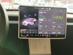 Tesla Model 3 Rear-Wheel Drive - ფოტო 7