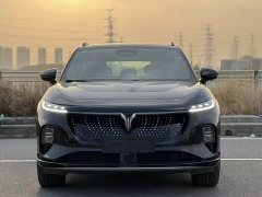 Voyah Lantu Zhiyin Four-Wheel Drive Global Edition - фото 2