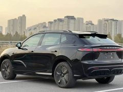 Voyah Lantu Zhiyin Four-Wheel Drive Global Edition - фото 9