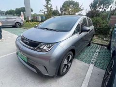 BYD Dolphin 420km Fashion Edition - фото 1