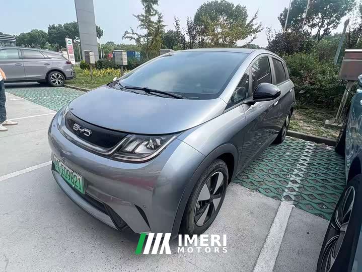 BYD Dolphin 420km Fashion Edition