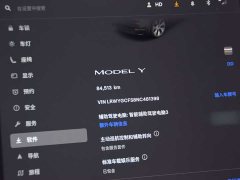 Tesla Model Y Rear-Wheel Drive - ფოტო 13