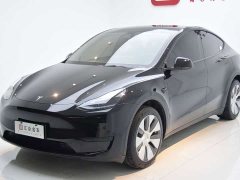 Tesla Model Y Rear-Wheel Drive - ფოტო 4