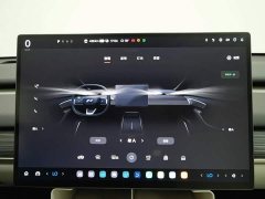 Nio Lerado L60 60kWh Rear-Wheel Drive - photo 12
