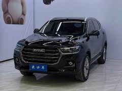 Haval H6 National Trend Edition 1.5T Automatic Urban Version - фото 1