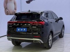 Haval H6 National Trend Edition 1.5T Automatic Urban Version - фото 4