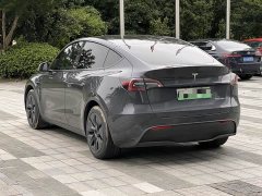 Tesla Model Y Rear-Wheel Drive - ფოტო 3