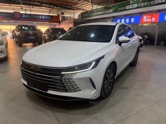 BYD Destroyer 05 DM-i 55KM Pioneer Glory Edition - photo 1