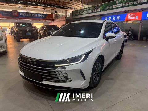 2024 BYD Destroyer 05 DM-i 55KM Pioneer Glory Edition