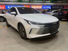 BYD Destroyer 05 DM-i 55KM Pioneer Glory Edition - photo 3