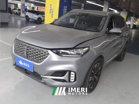 2021 Great Wall WEY VV6 2.0T Two-Wheel Drive Smart Plus - car from China